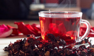 Гибискус (Каркаде, Суданская роза)